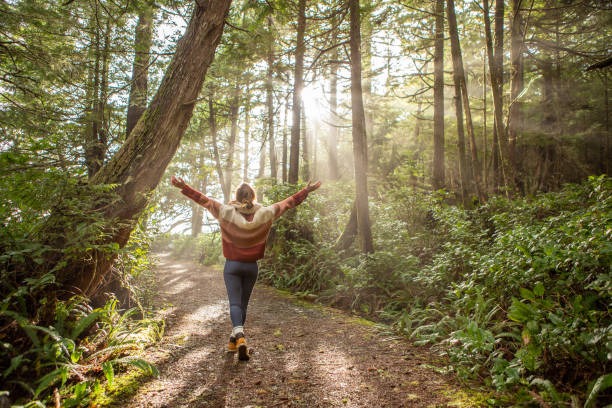 How Aromatherapy Boosts Mood and Relaxation